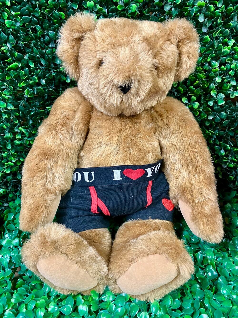 The Vermont Teddy Bear Complete Companion.